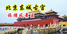 高中生嫩b中国北京-东城古宫旅游风景区